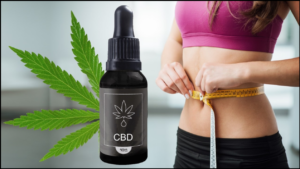 perte-de-poids-consommation-cbd